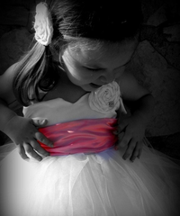 Flower Girl Tutu Dress 1